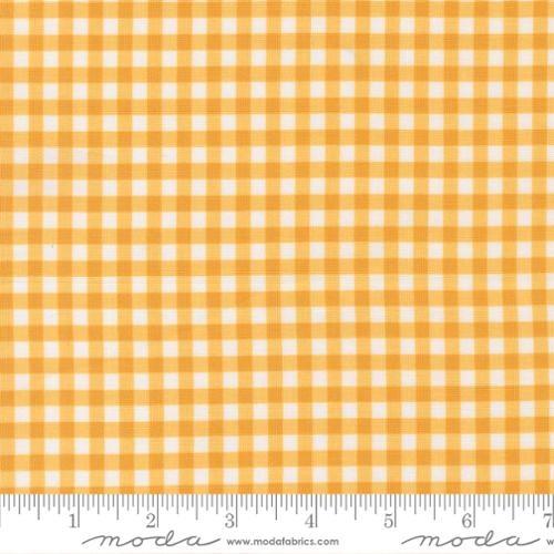 Lucky Gingham Sun | 55707 14