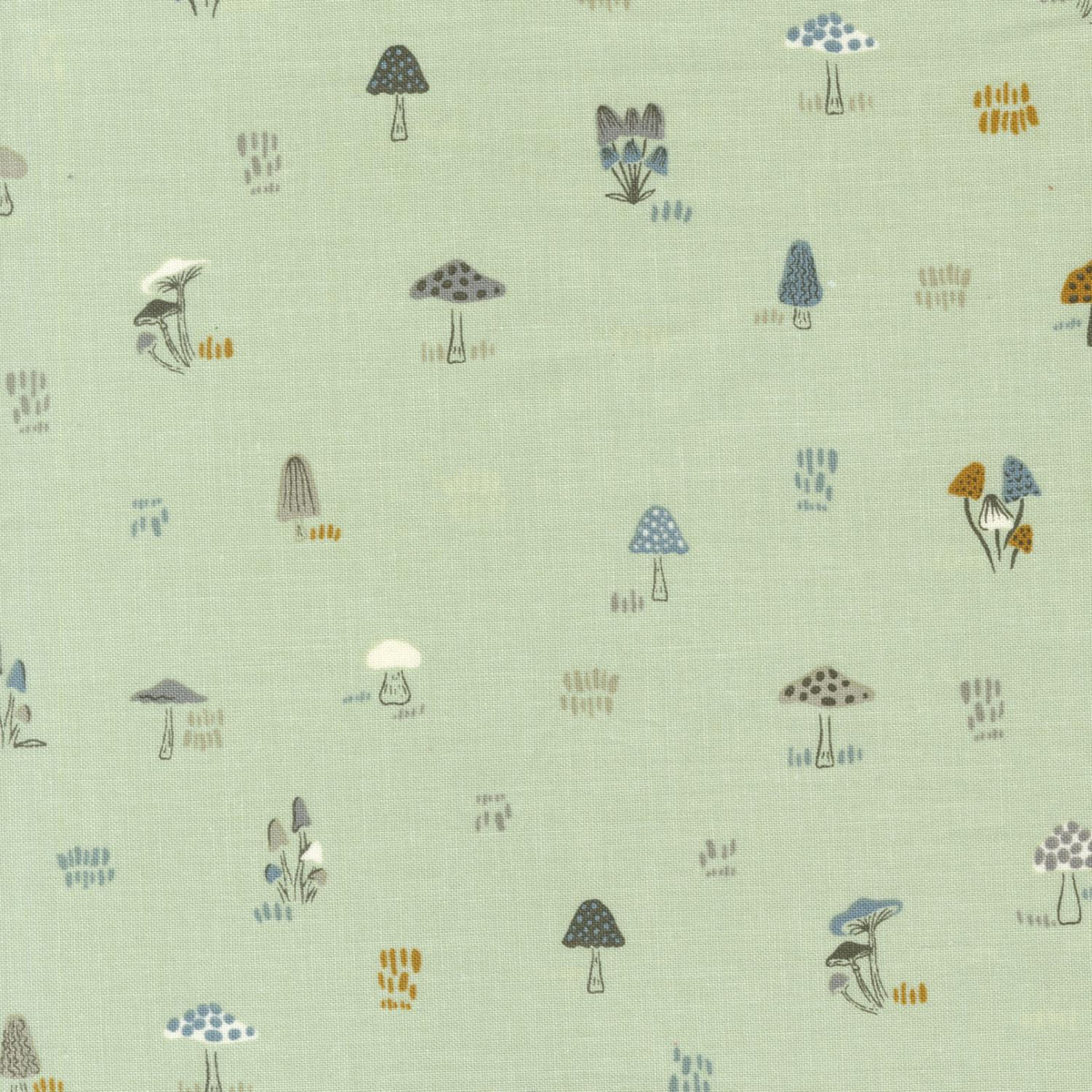 Woodland Wildflowers  | 45585 20