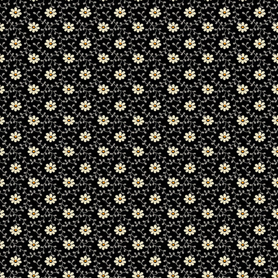 Pumpkin Licorice | A-1101-K | Daisy - Black