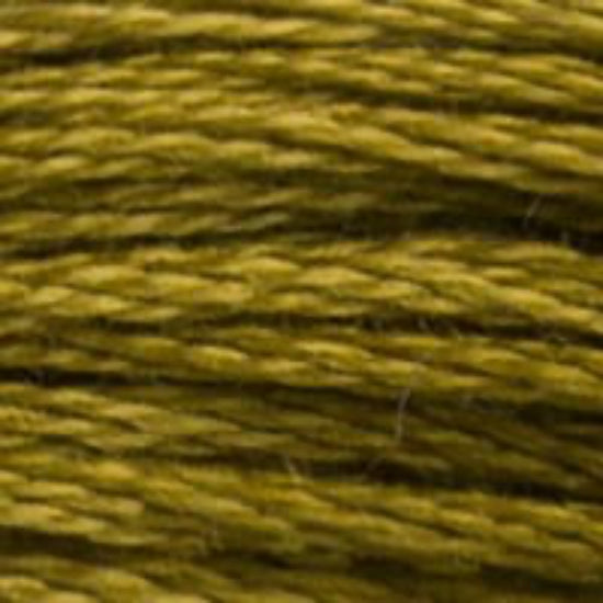DMC-831 Medium Golden Olive  6 Strand Floss