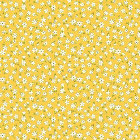 Aunt Grace Garden Variety | R351028D | Star Flower - Yellow