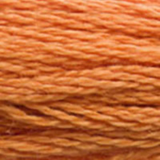 DMC-3853 Dark Autumn Gold  6 Strand Floss