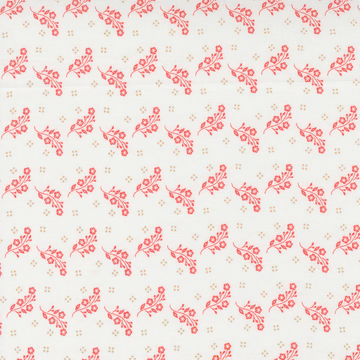 Linen Cupboard  | 20484 11