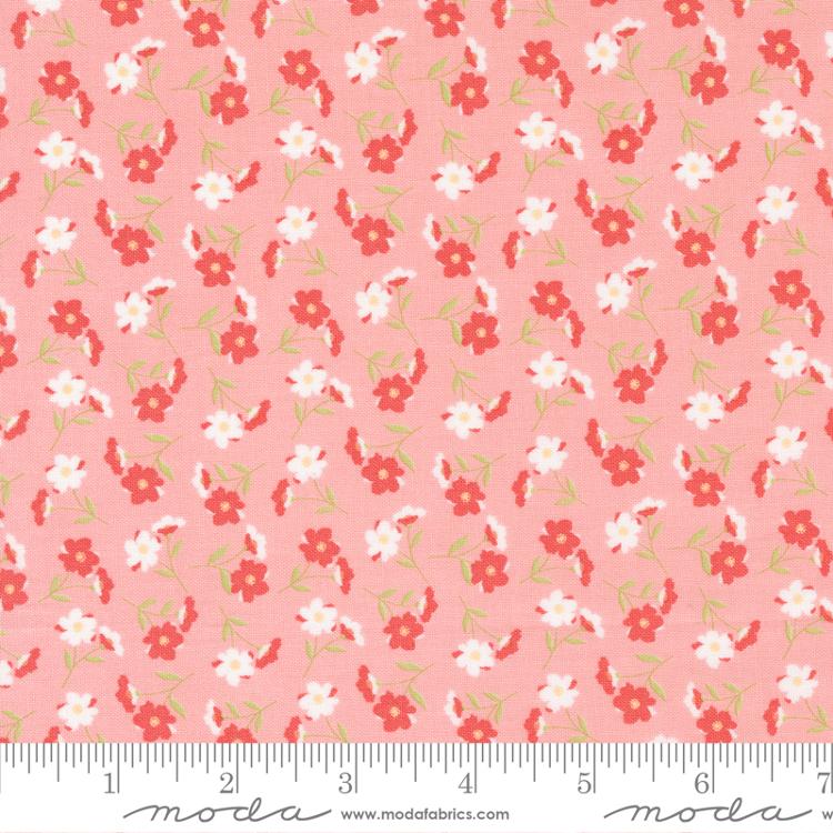 Sunwashed Pink | 29162 22