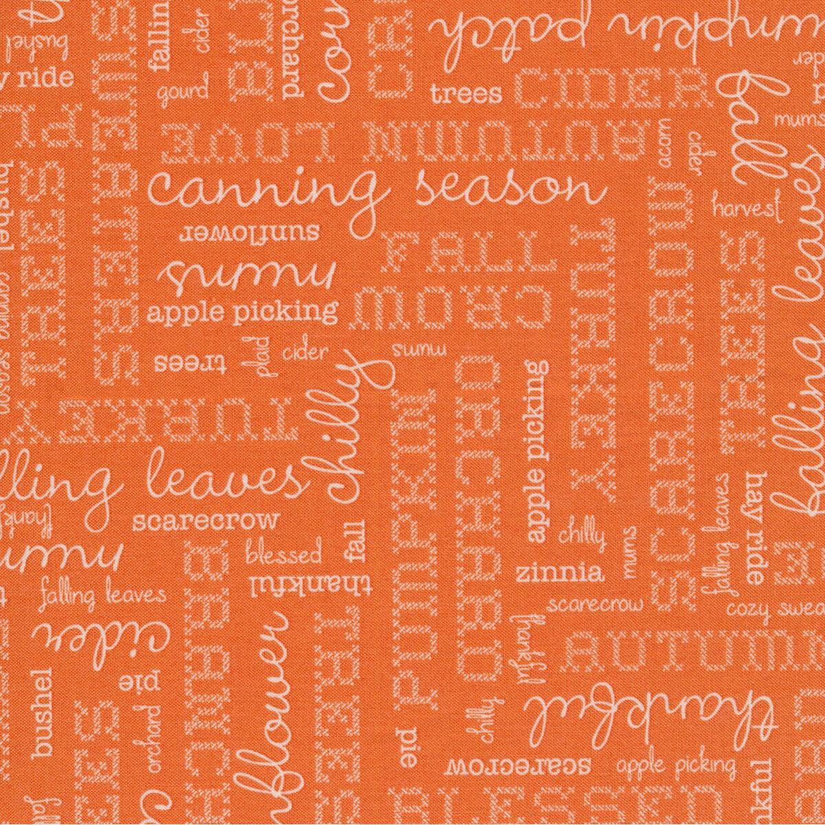 Autumn | C14667 | Words - Pumpkin