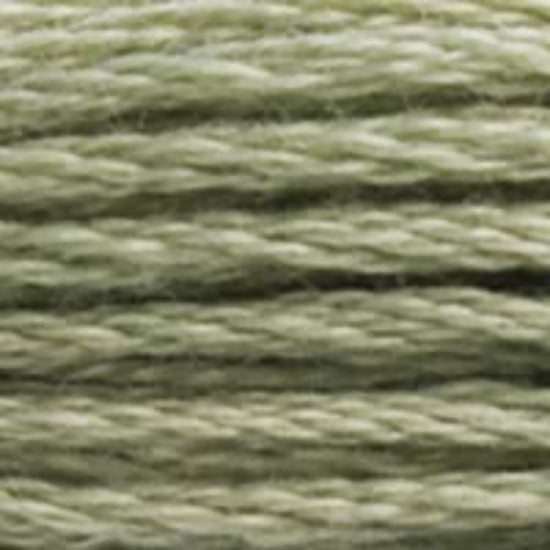 DMC-523 Light Fern Green  6 Strand Floss