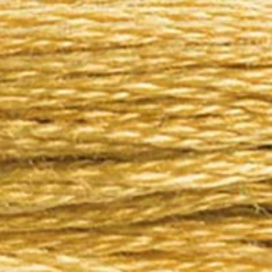 DMC-729 Medium Old Gold  6 Strand Floss
