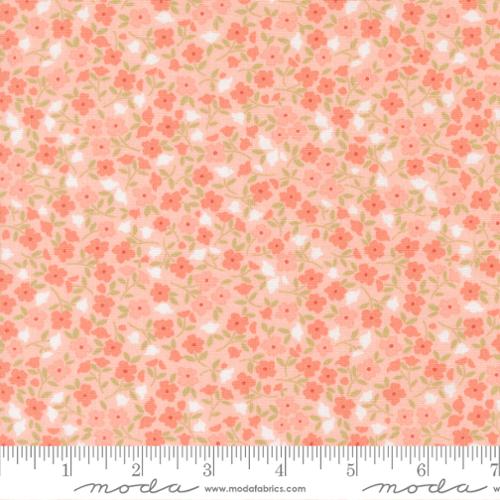 Sunbonnet Pink | 31766 15