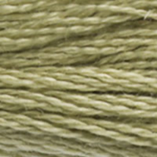 DMC-3013 Light Khaki Green  6 Strand Floss