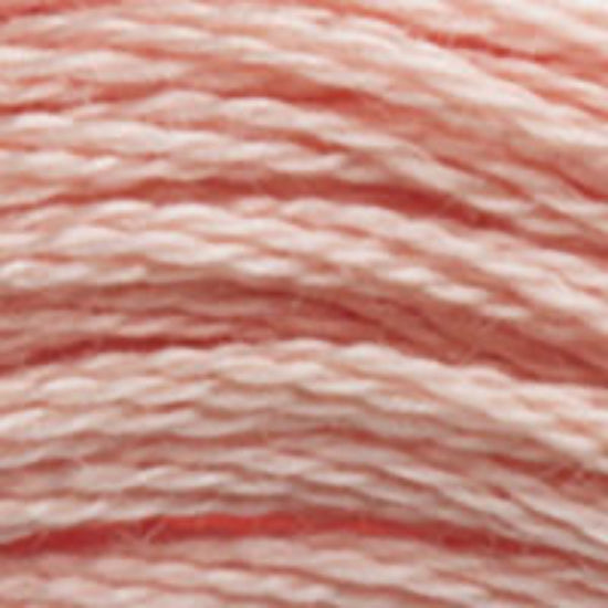 DMC-3779 Very Light Rosewood 6 Strand Floss