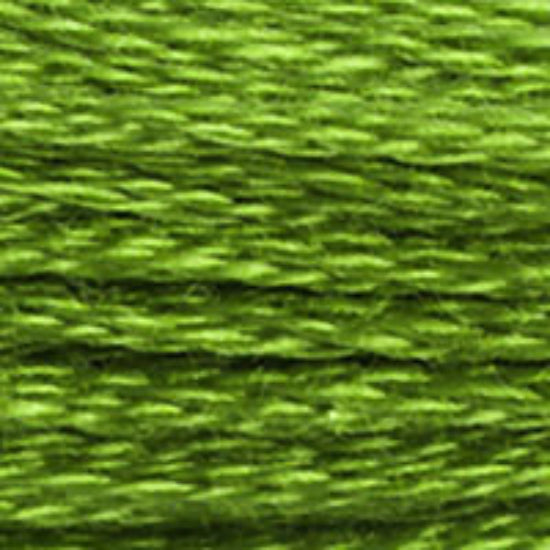 DMC-906 Medium Parrot Green  6 Strand Floss