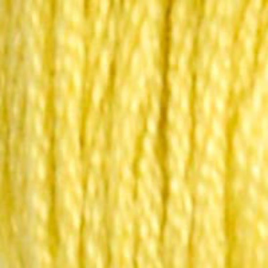 DMC-17 Light Yellow Plum 6 Strand Floss