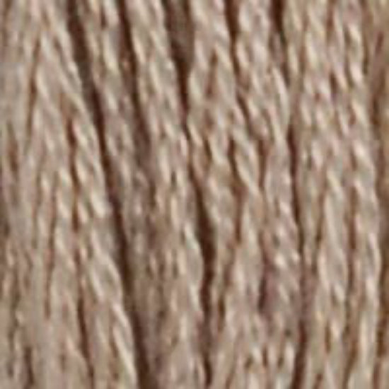 DMC-07 Driftwood 6 Strand Floss