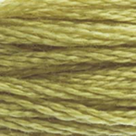 DMC-734 Light Olive Green  6 Strand Floss