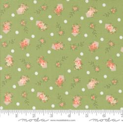 Abloom Cucumber | 29213 17