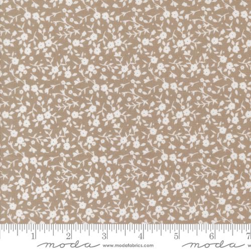 Sun Drenched Stone | 43205 13