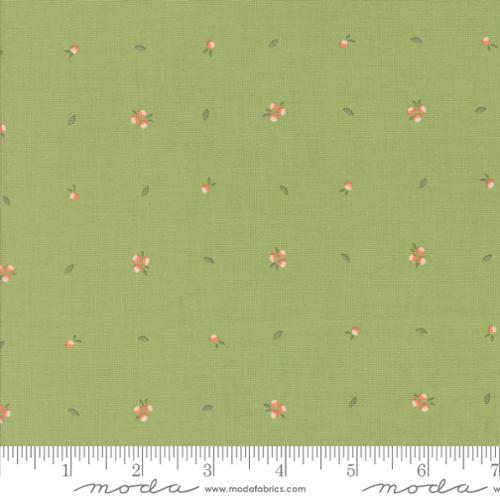 Abloom Cucumber | 29216 17
