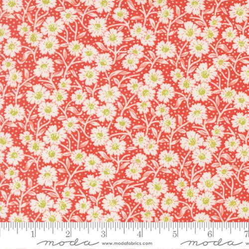 Rosie Strawberry | 35424 14
