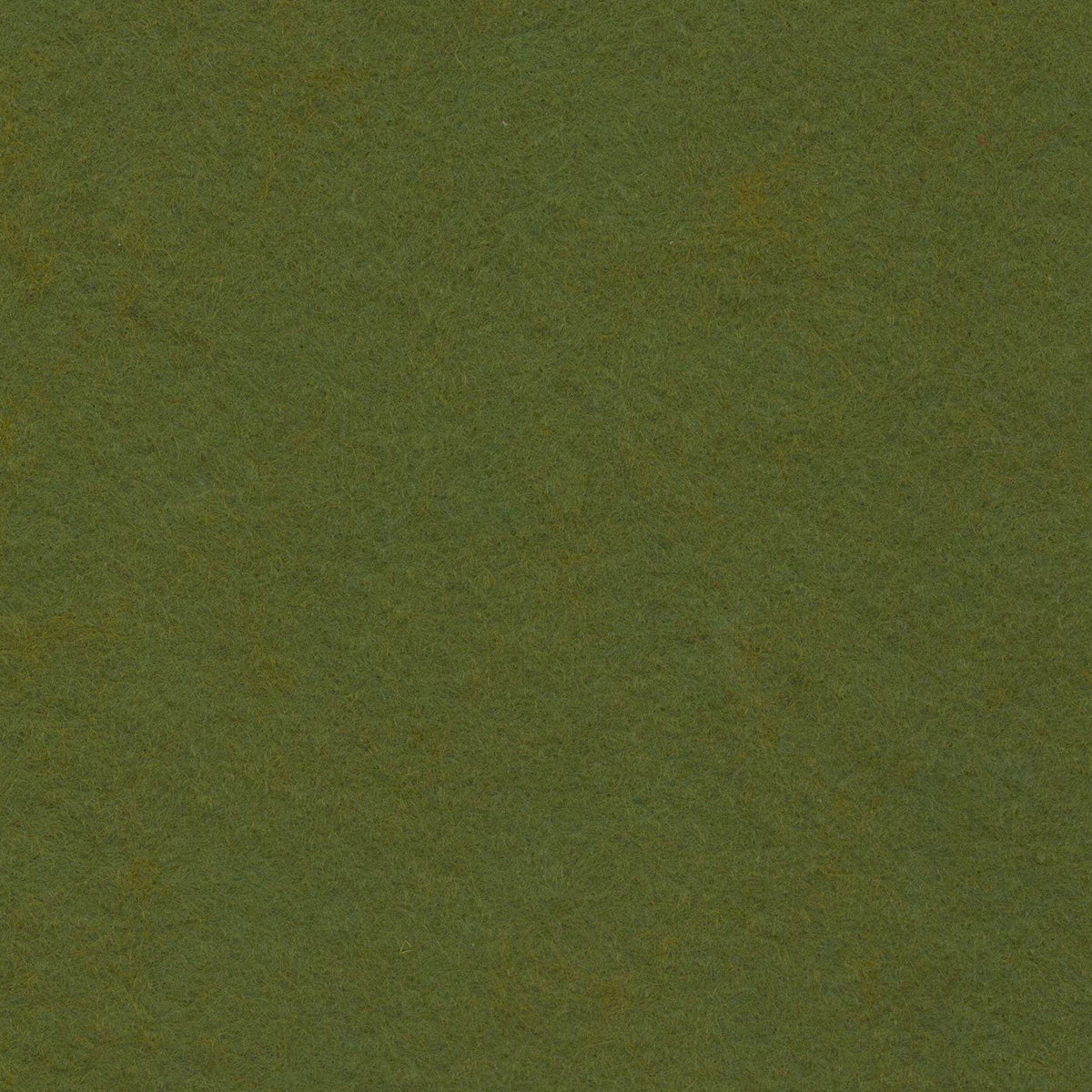 WoolFelt Moss