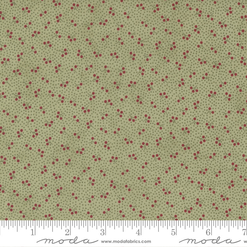 Poinsettia Plaza Sage | 44298 13