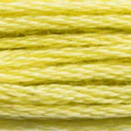 DMC-165 Very Light Moss Green 6 Strand Floss