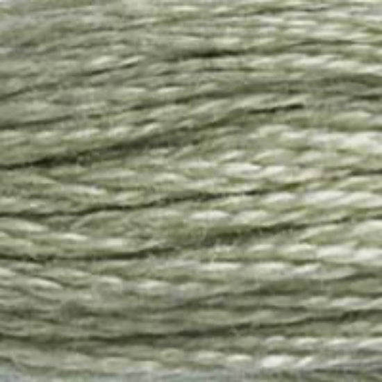 DMC-524 Very Light Fern Green  6 Strand Floss