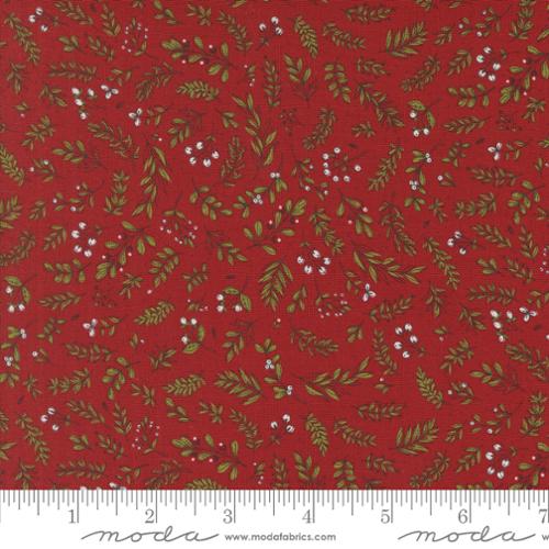 Emmitt and Ivy Red | 55695 12