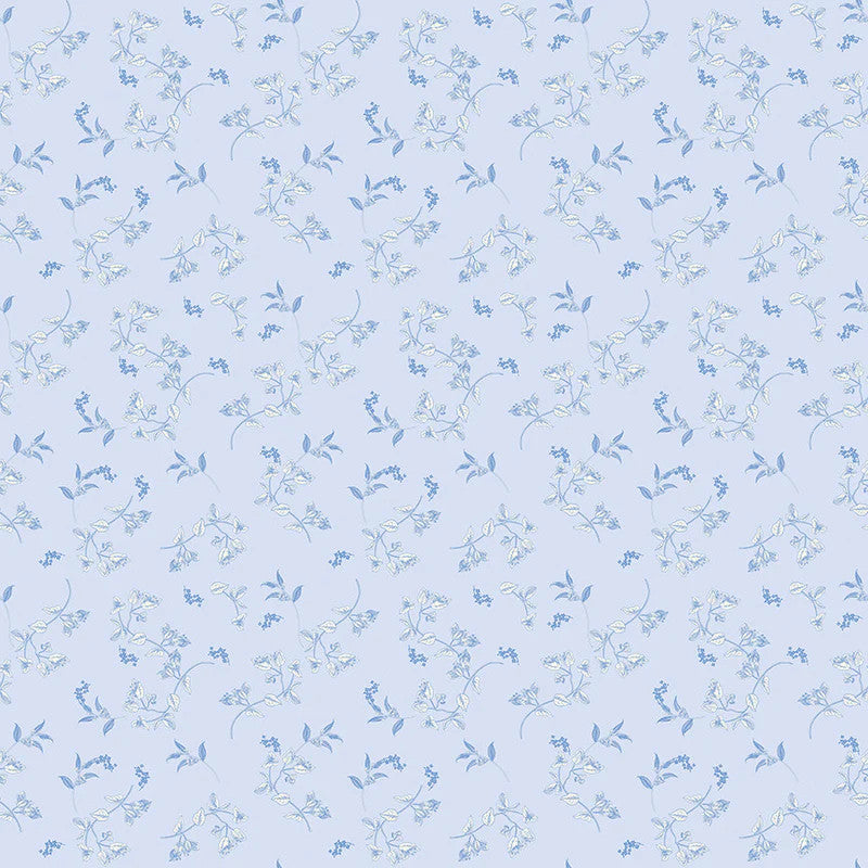 Penelope | C16641 | Sky