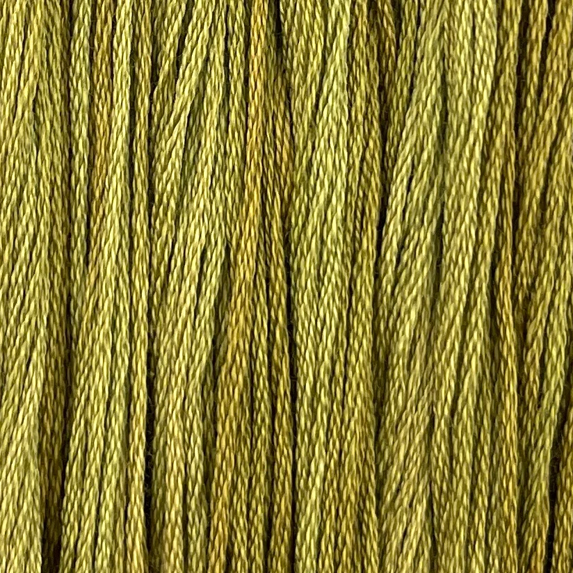 Primitive Vines - Colour and Cotton 6 Strand Floss - CAC-254