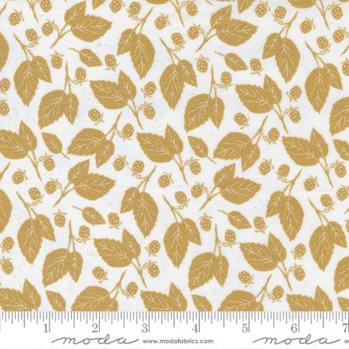 Midnight in the Garden Gold | 43125 11