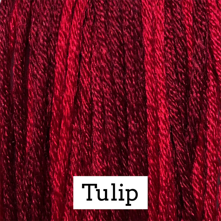 Tulip - Classic Colorworks Silk Floss