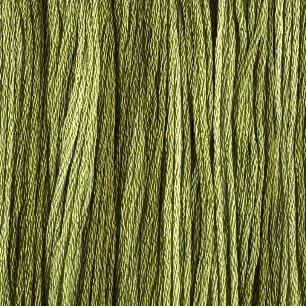 Festive Fir Forest - Colour and Cotton 6 Strand Floss - CAC-794