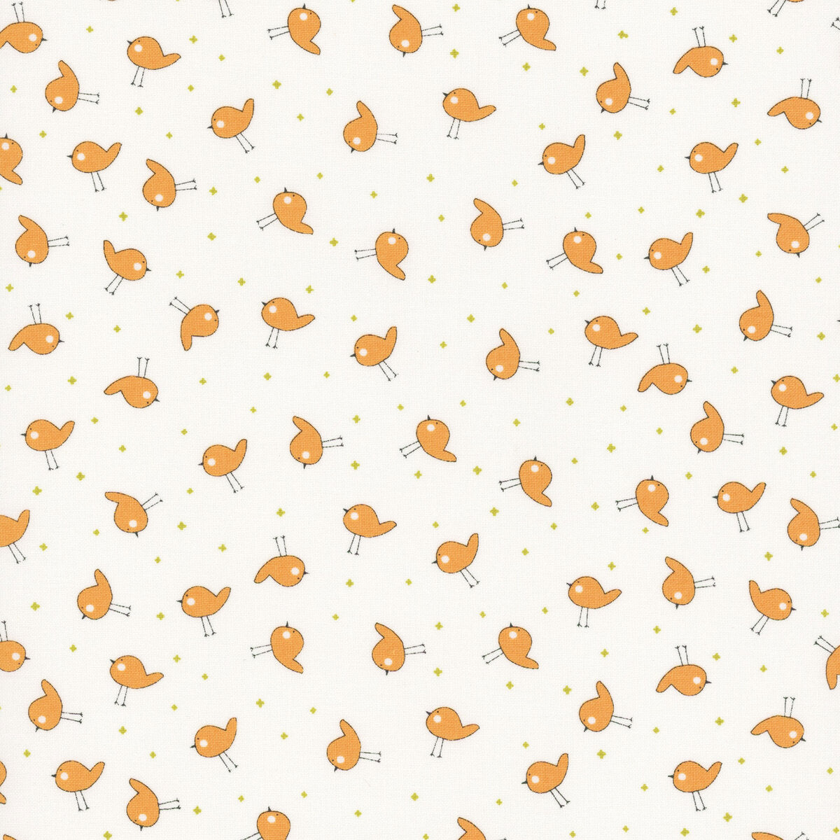 Shine Orangesicle | 55674 15