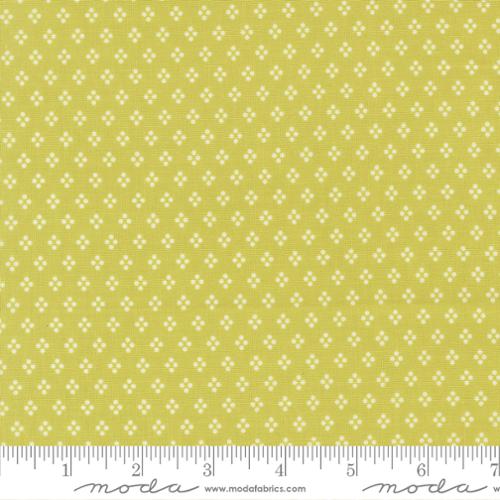 Delightfully Yours Chartreuse | 37707 14