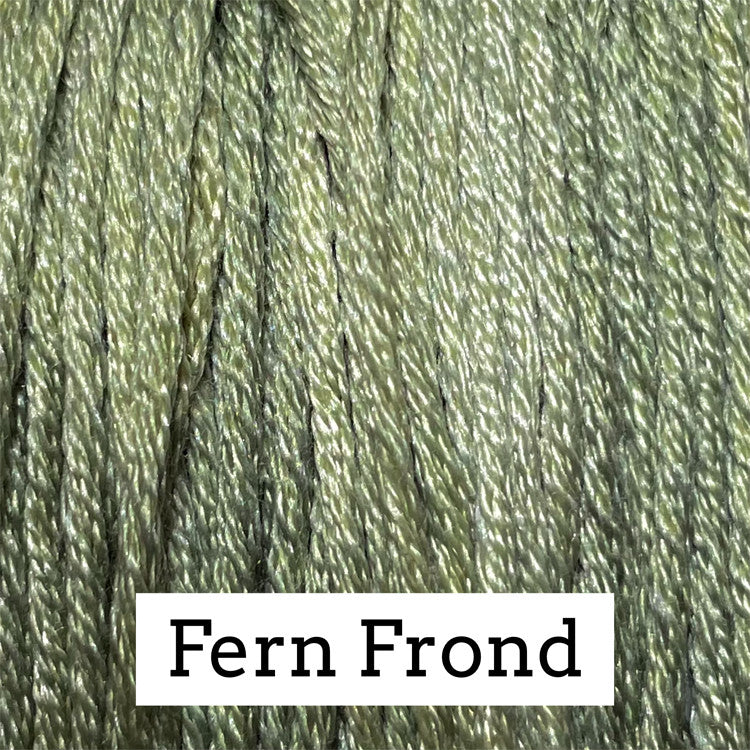 Fern Frond - Classic Colorworks Silk Floss