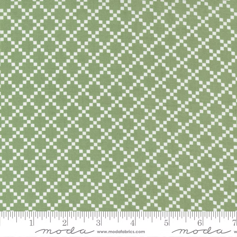 Dwell Grass | 55272 17