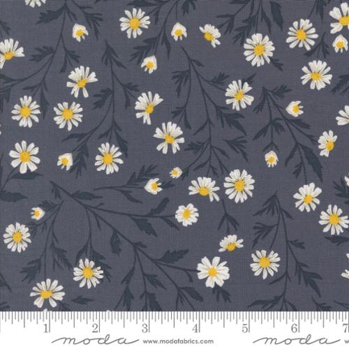 Sun Drenched Indigo | 43200 15