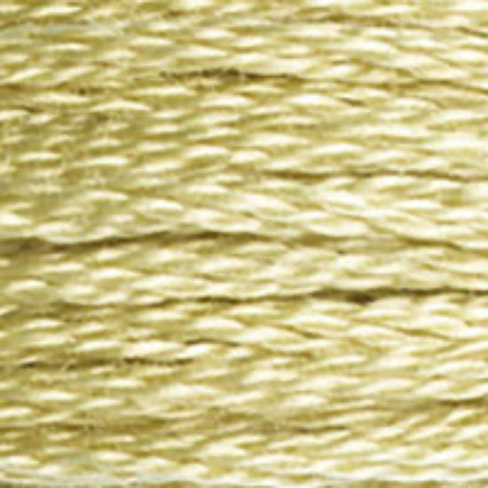 DMC-3046 Medium Yellow Beige  6 Strand Floss