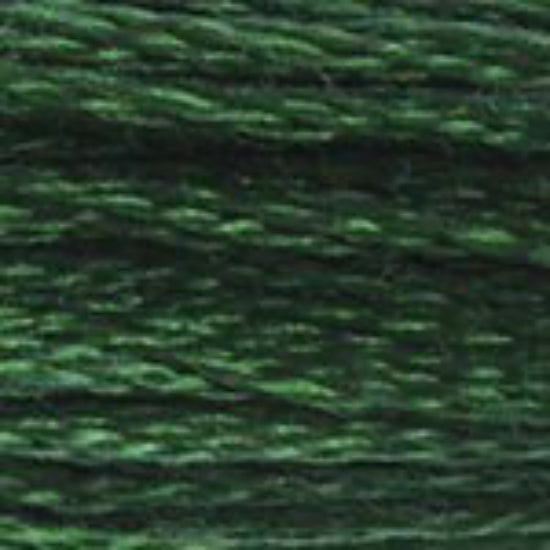 DMC-895 Very Dark Hunter Green  6 Strand Floss