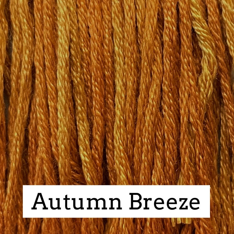 Autumn Breeze - Classic Colorworks Silk Floss
