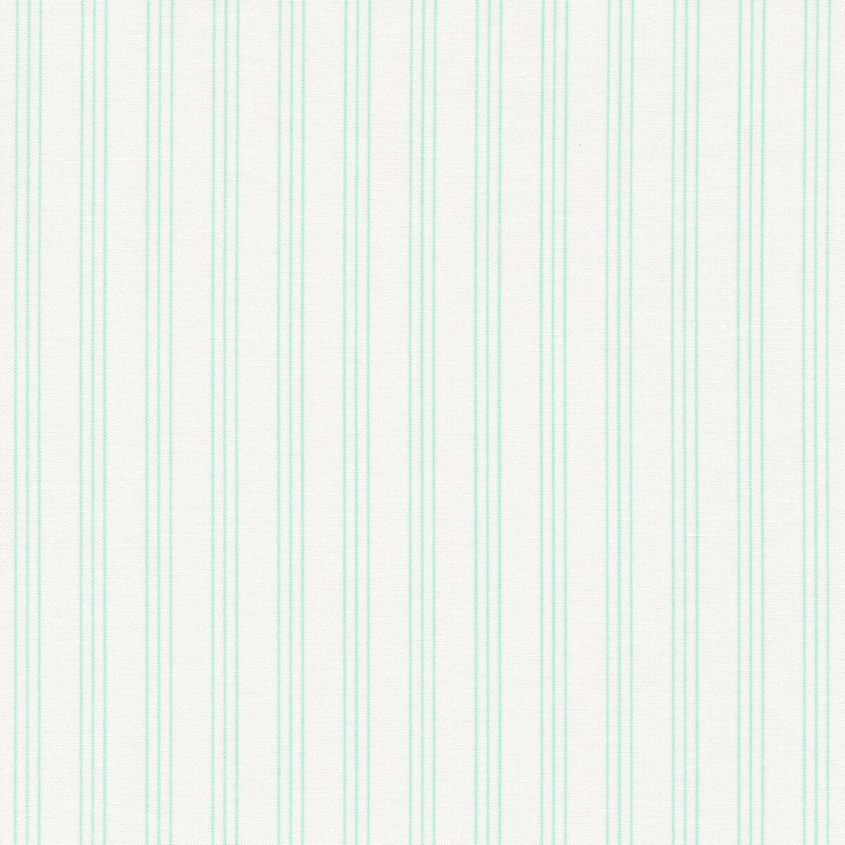 Lighthearted Aqua | 55296 21