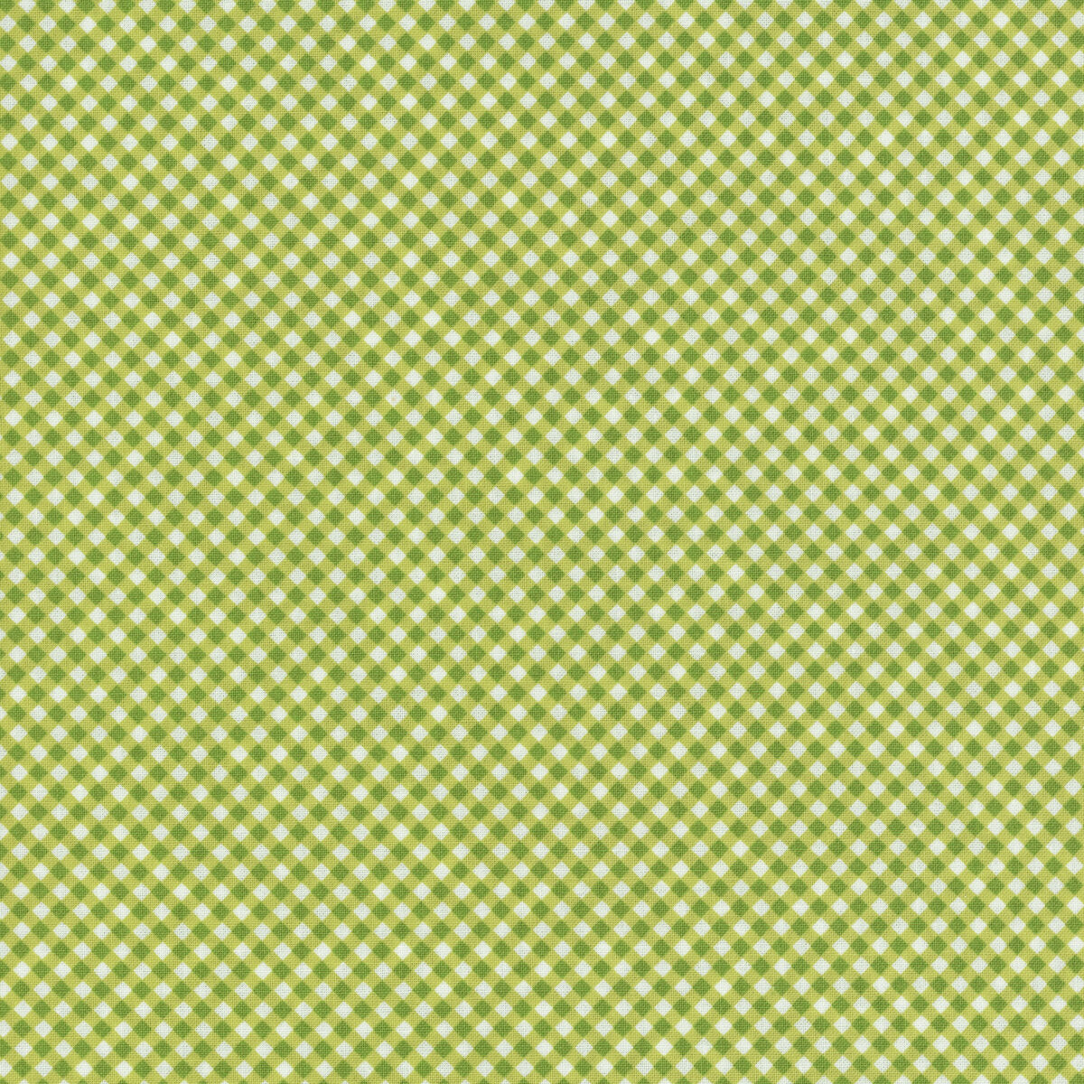 Raspberry Summer Lime | 37697 17