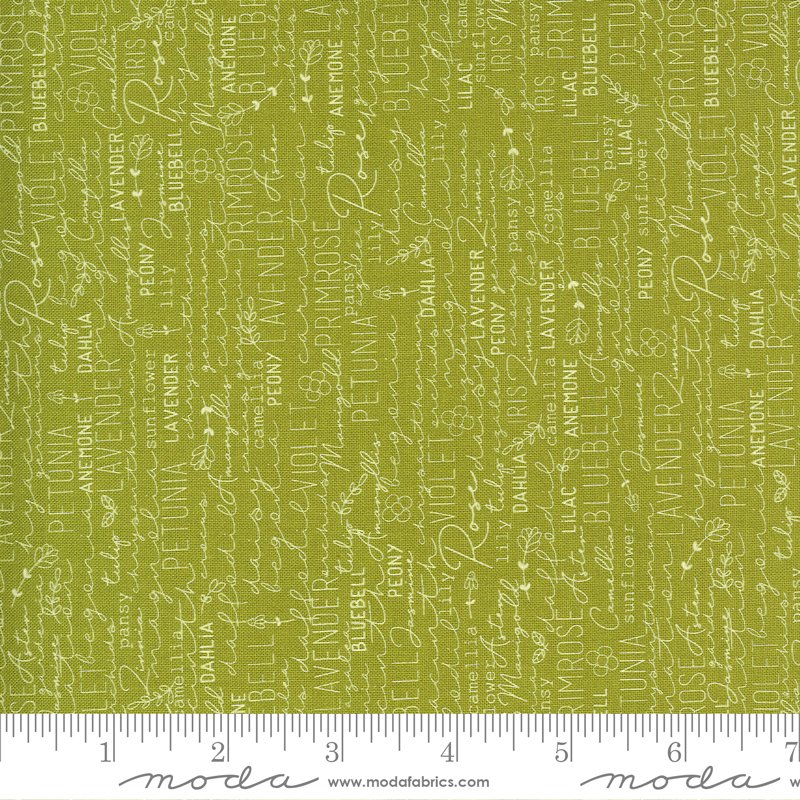 Spring Chicken - Green | 55520 23
