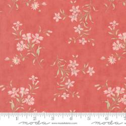 Muse Scarlet | 44394 13