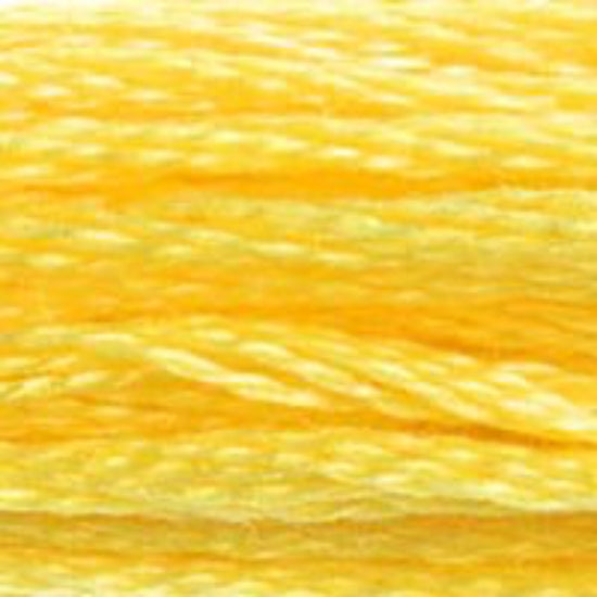 DMC-726 Light Topaz  6 Strand Floss