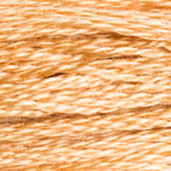 DMC-437 Light Tan  6 Strand Floss