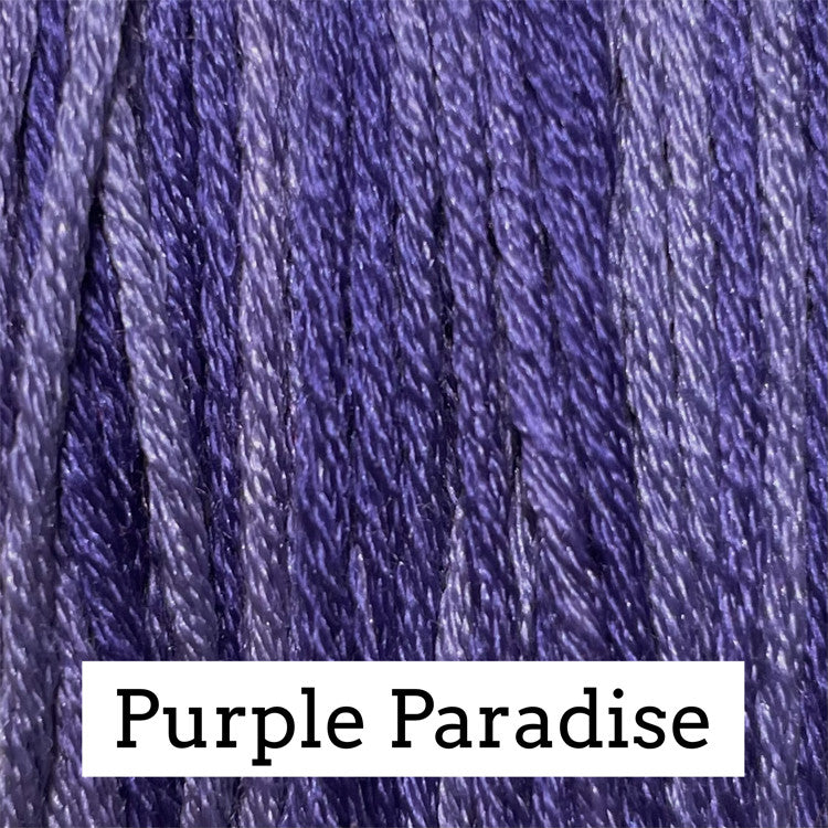Purple Paradise - Classic Colorworks Silk Floss