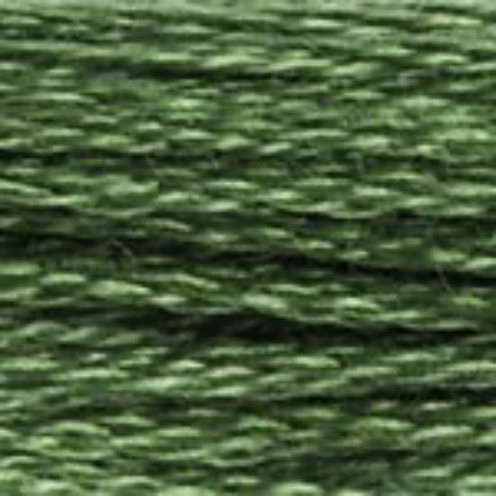 DMC-987 Dark Forest Green  6 Strand Floss