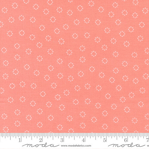 Simply Delightful Carnation | 37644 25