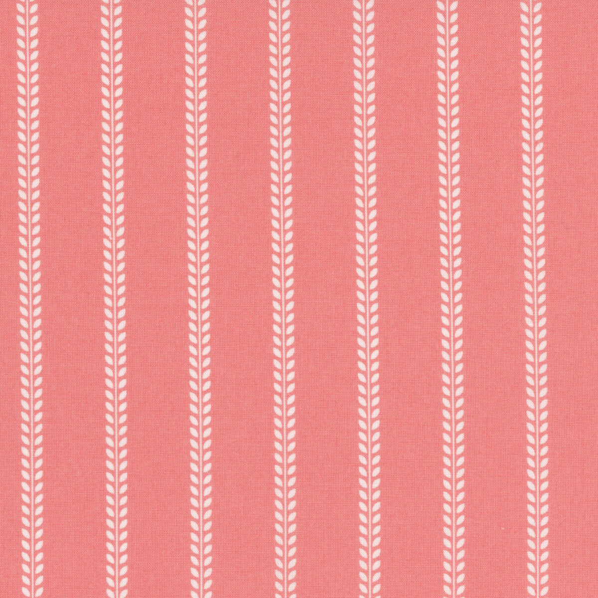 Summertime Blush | 55327 14